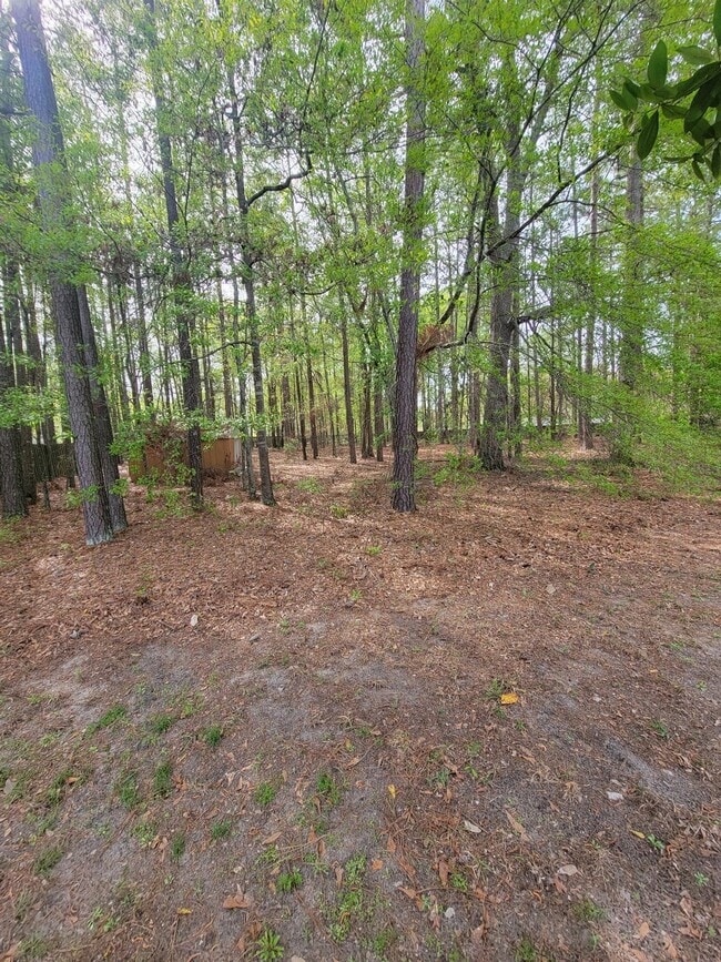 Building Photo - 1256 Watsonia Dr