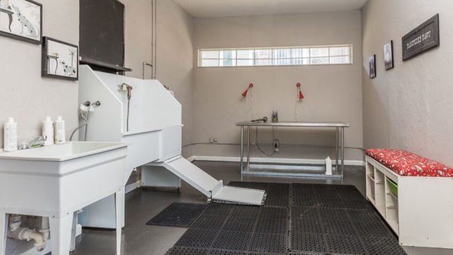 Building Photo - 8335 Freedom Crossing Trl