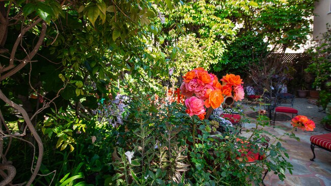 Garden Roses - 848 17th St