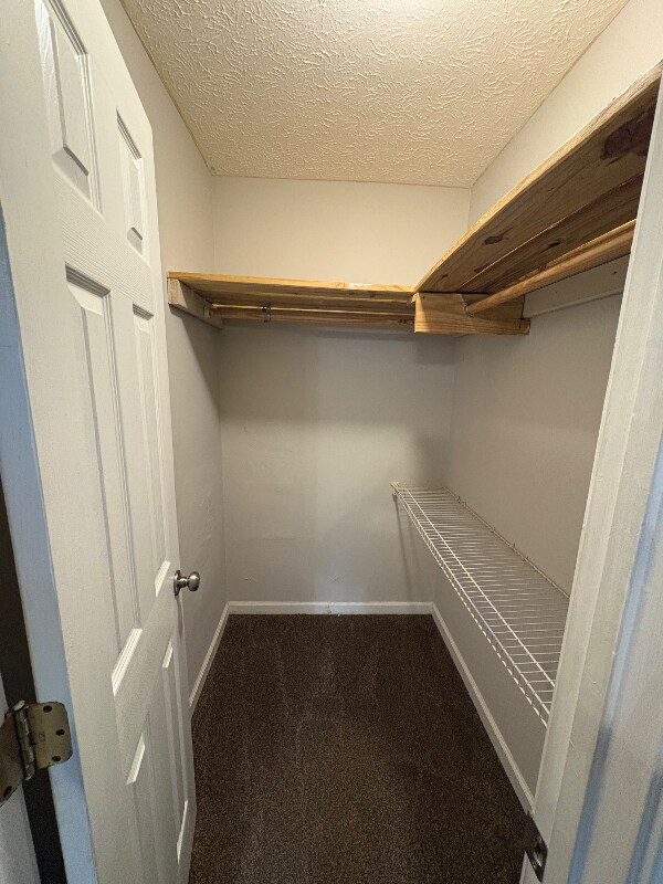 Building Photo - 2031 Sitser Ln