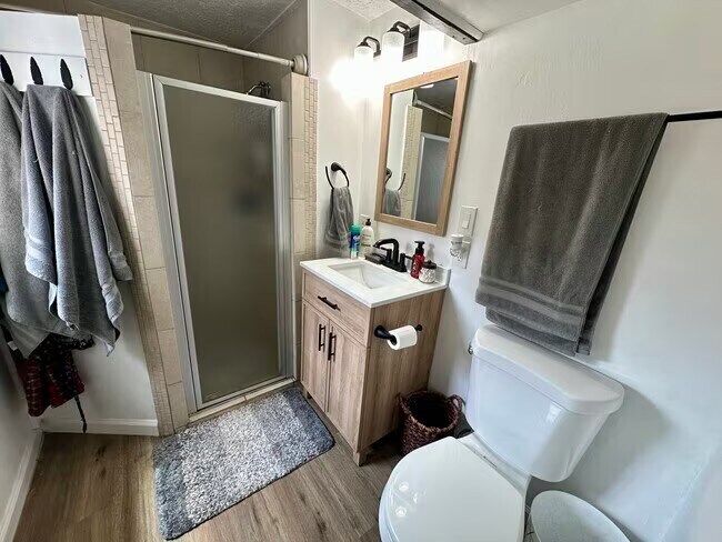 Downstairs bathroom - 53 Center St