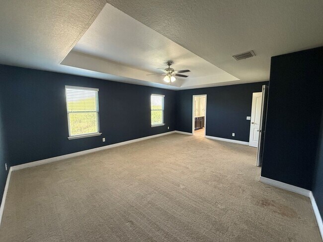 Building Photo - New Braunfels Gem!