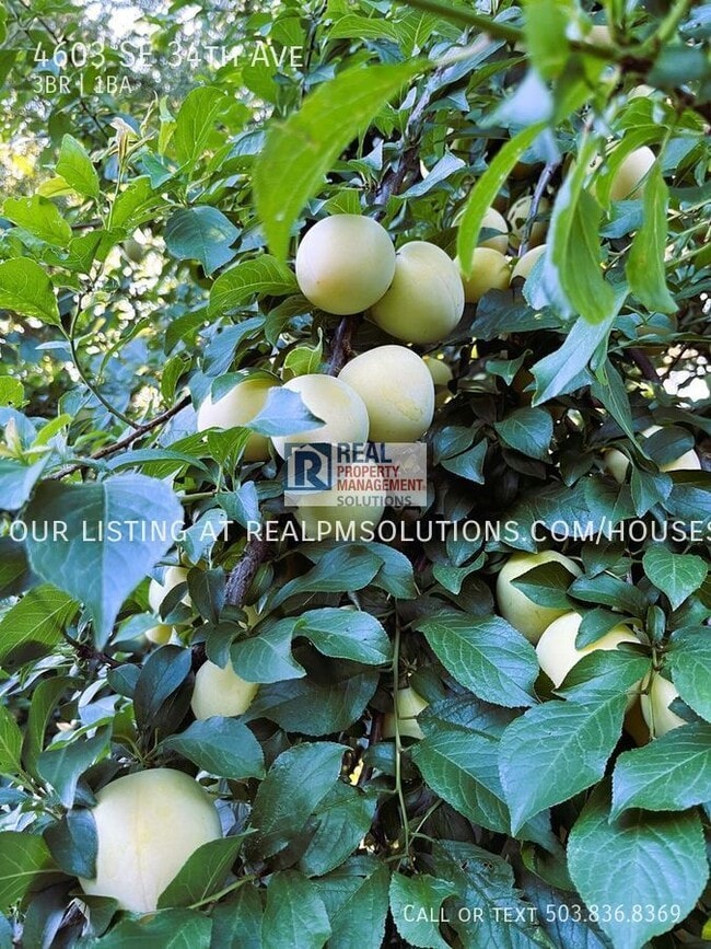 Building Photo - 4603 SE 34th Ave