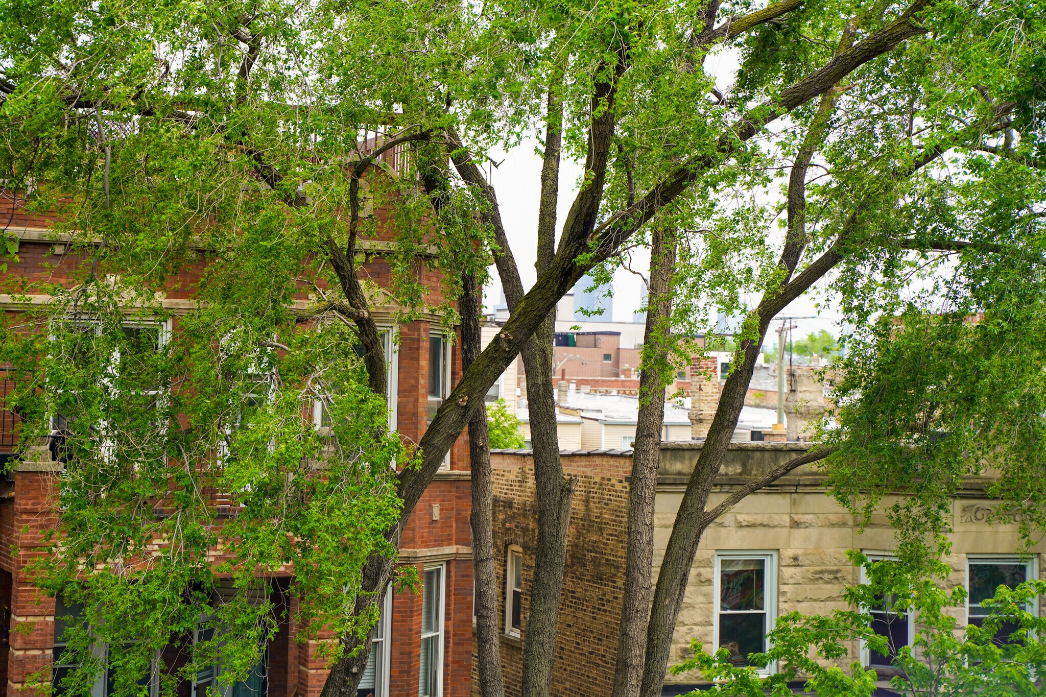 Building Photo - 836 N Maplewood Ave