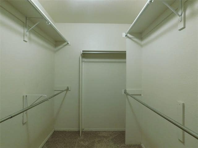 Building Photo - 3804 Luck Hole Dr
