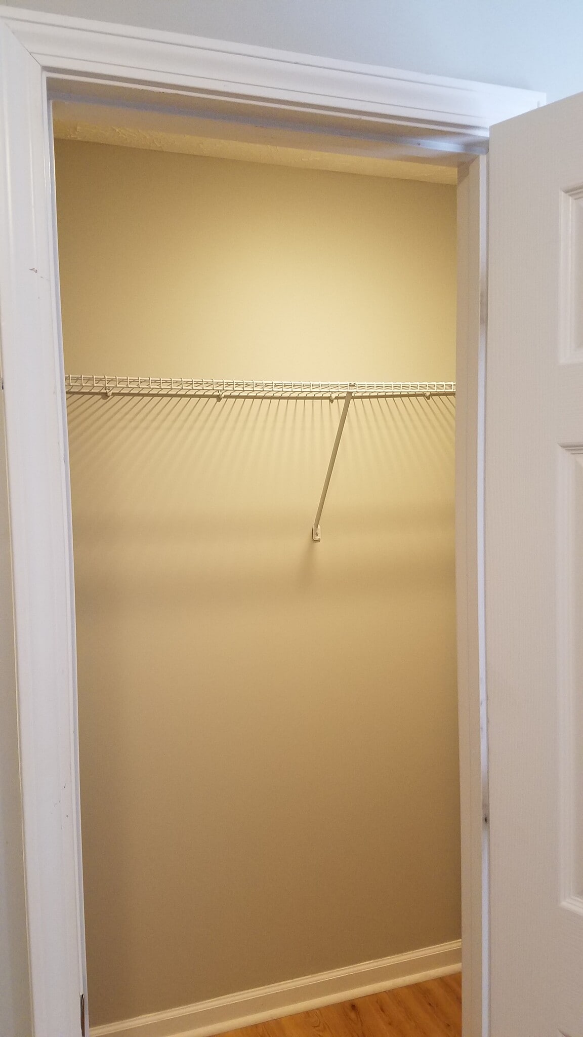 walk-in closet bedroom 1 - 618 Spence Enclave Way
