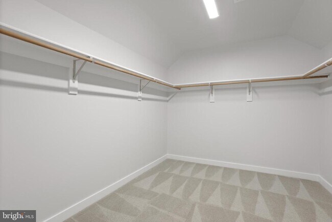 Building Photo - 4001 Mossy Bank Ln