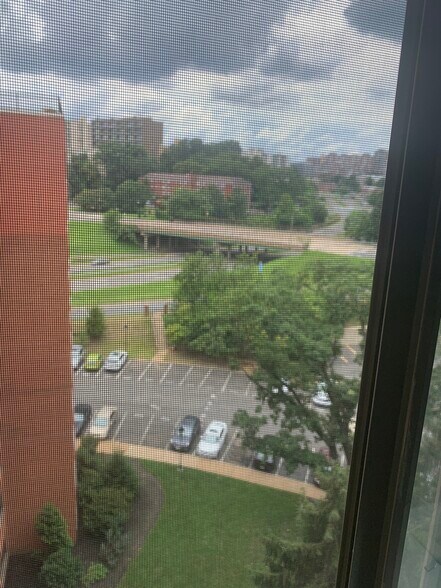 West View from unit - 1111 Arlington Blvd