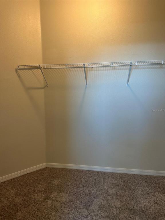 Building Photo - 2510 Sanderling St