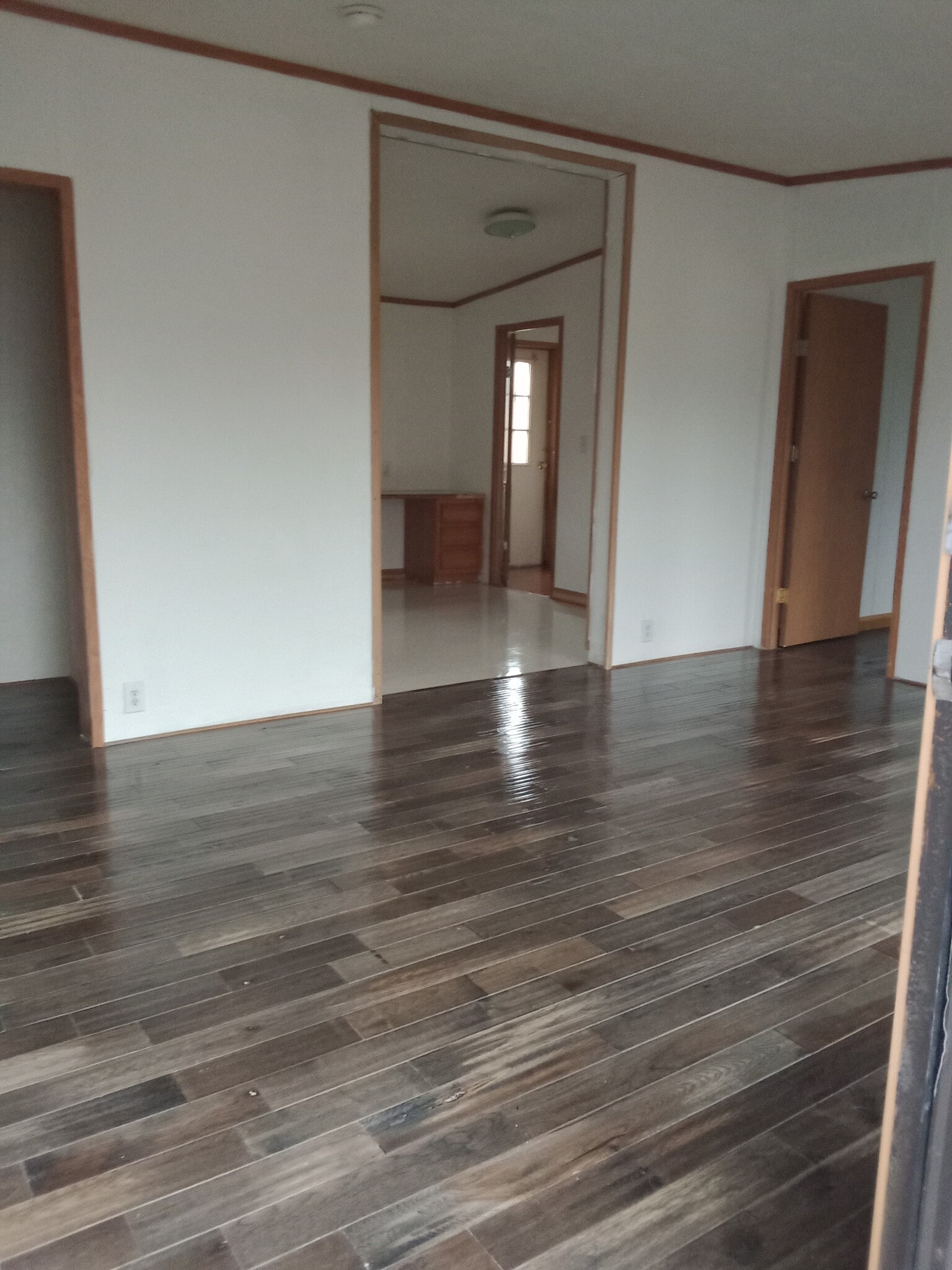 Open layout - 64 Rosebud Ave