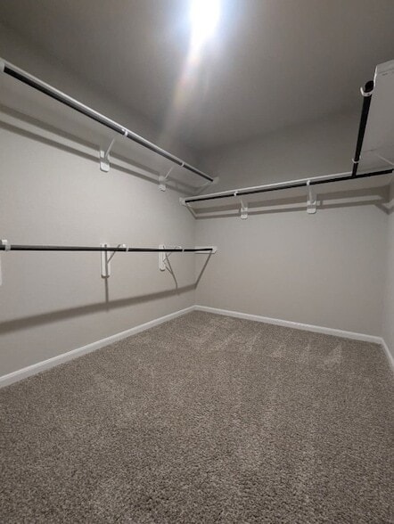 Building Photo - 3518 Windham Way