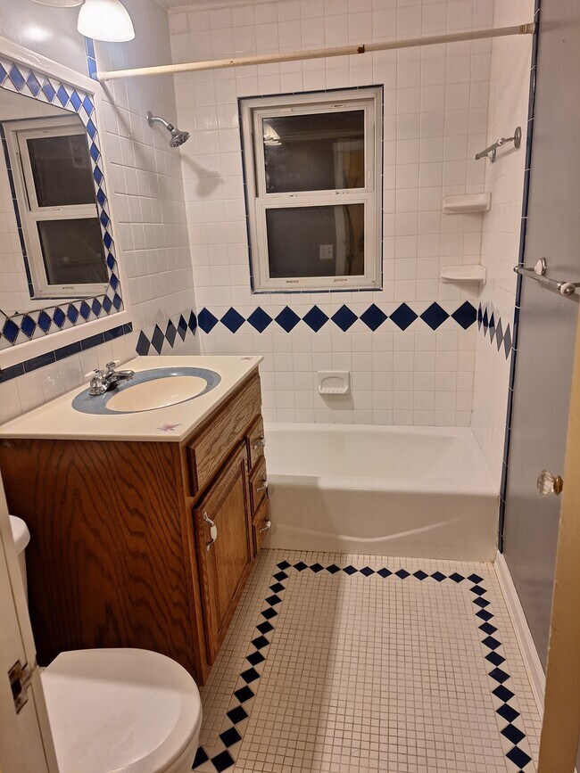 Main bathroom - 401 S Vassar St