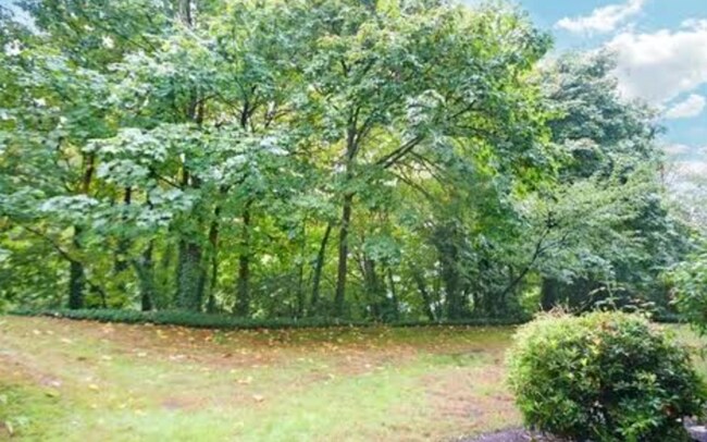 Building Photo - Serene Park-Like Sanctuary | Large Updated Townhome with Wooded Views, 3 bathrooms and 2 large be...