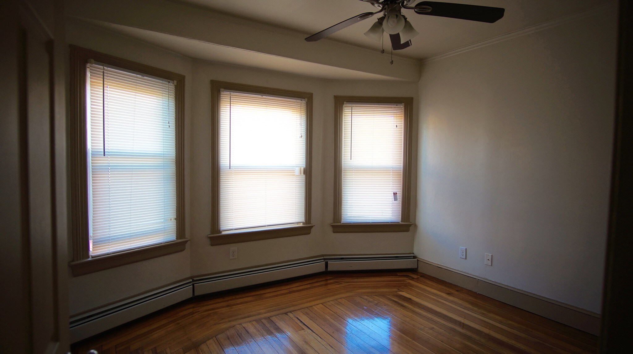 Building Photo - 47 Carolina Ave