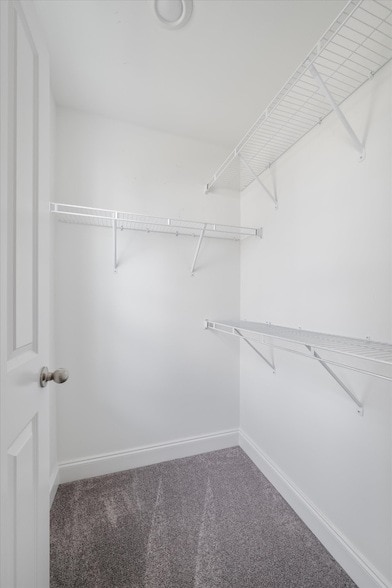 Building Photo - 842 Westcott Ln