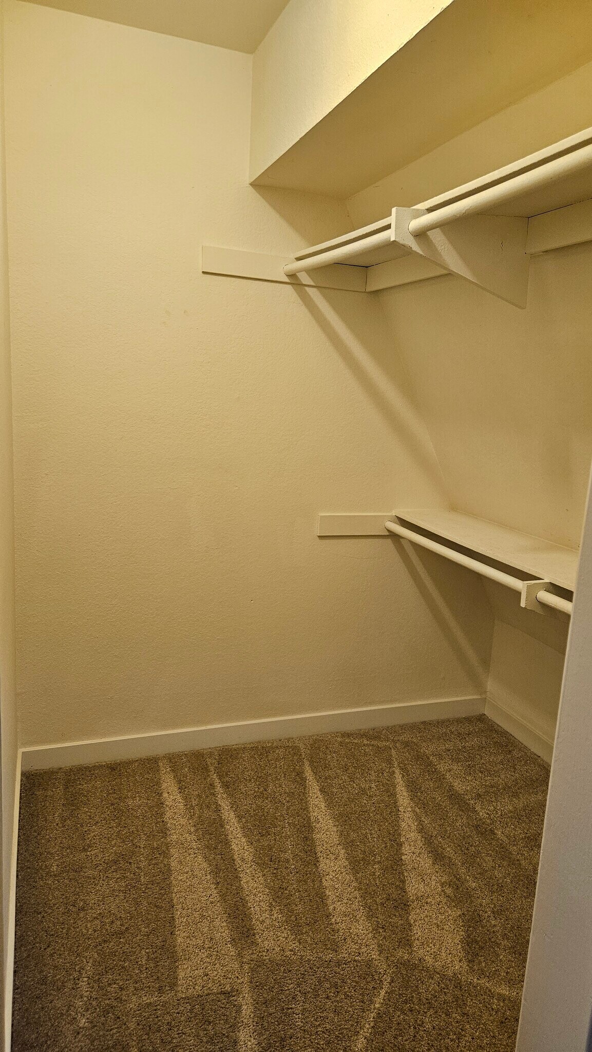 Building Photo - 7964 Mission Center Ct