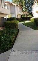 Building Photo - 24277 El Pilar