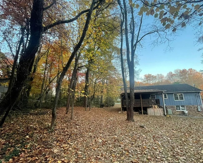 Building Photo - Mills River Rental!