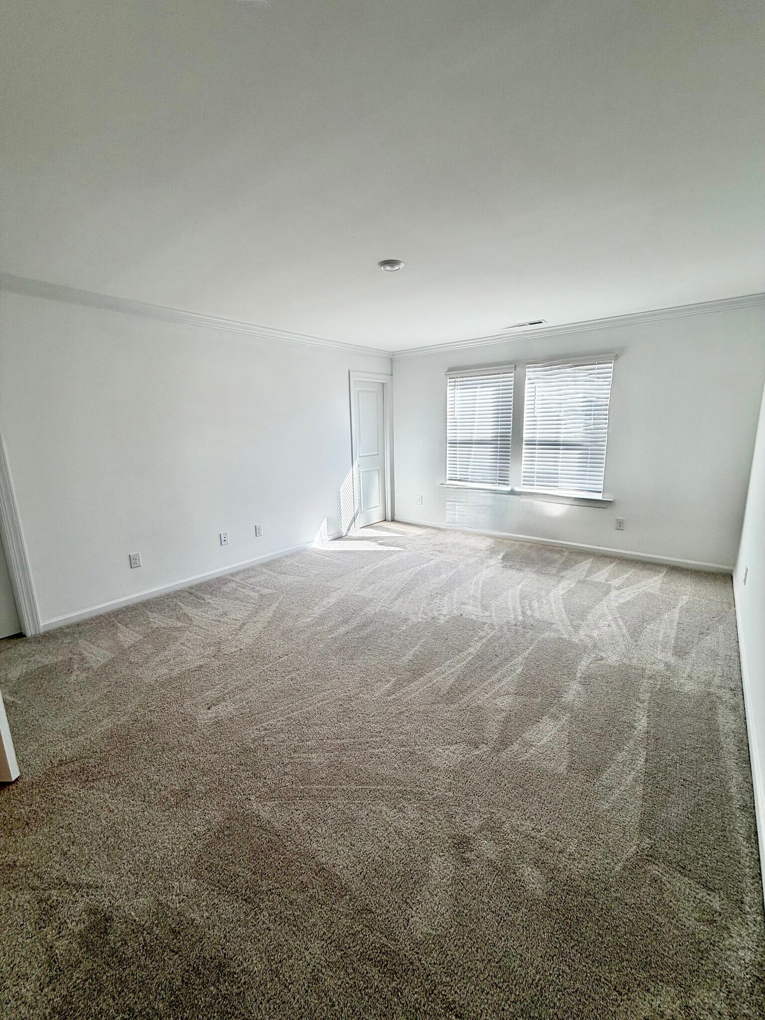 Building Photo - 265 Sweetbay Tree Dr