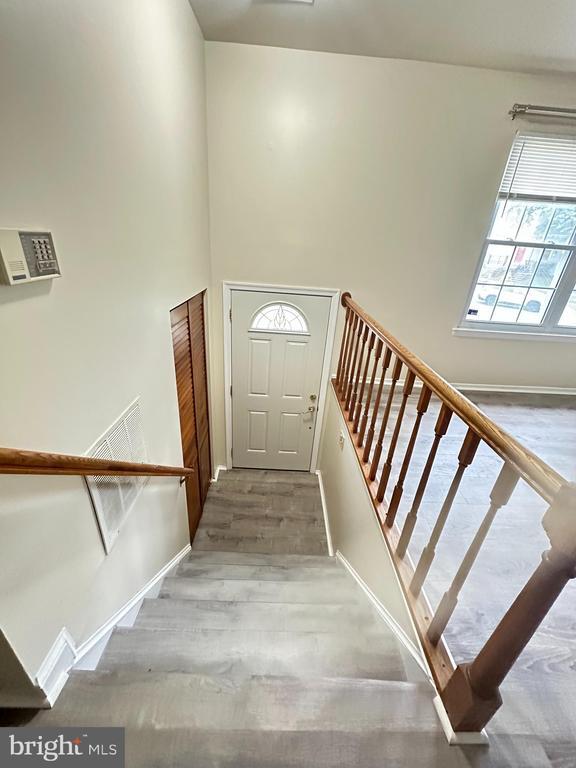 Building Photo - 7122 Cipriano Springs Dr