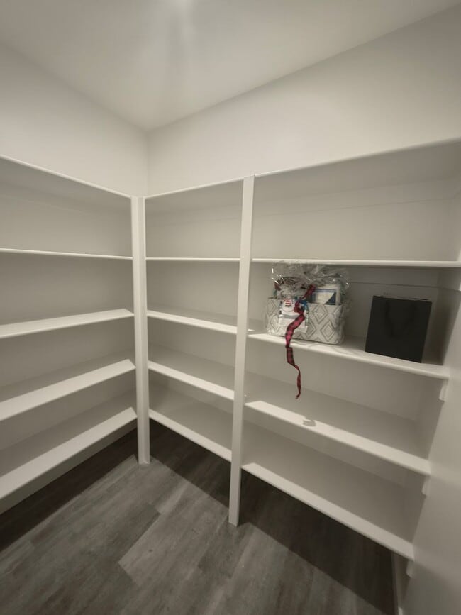 Building Photo - Brand New - 4 Br 2.5 Ba 2 Car Garage - Shaded Patio+++