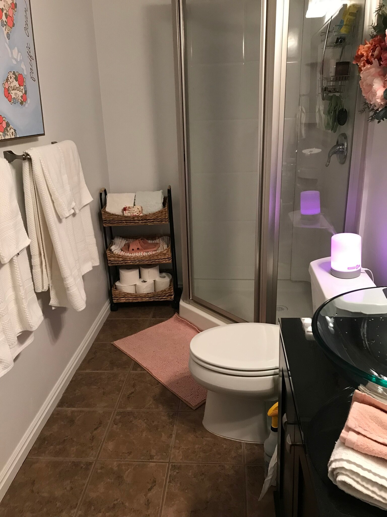 Basement bathroom - 11718 S Sun Tea Way