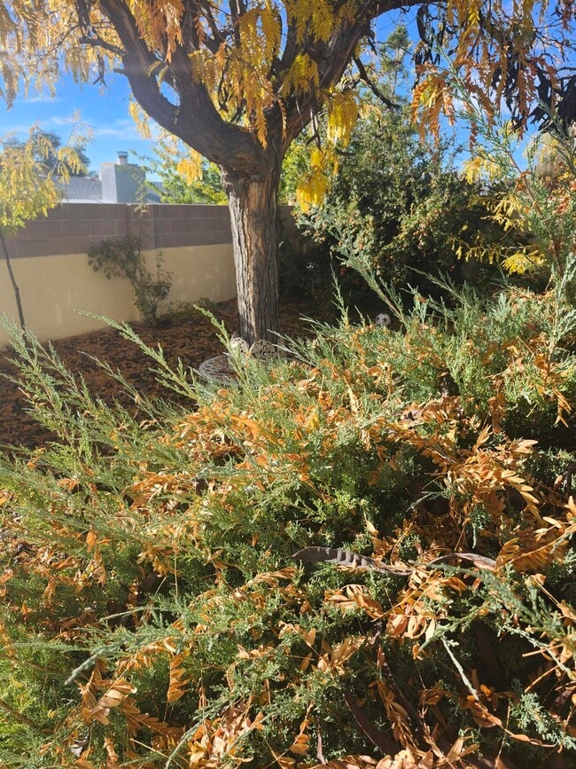 Building Photo - 8805 Yankee Dr NE