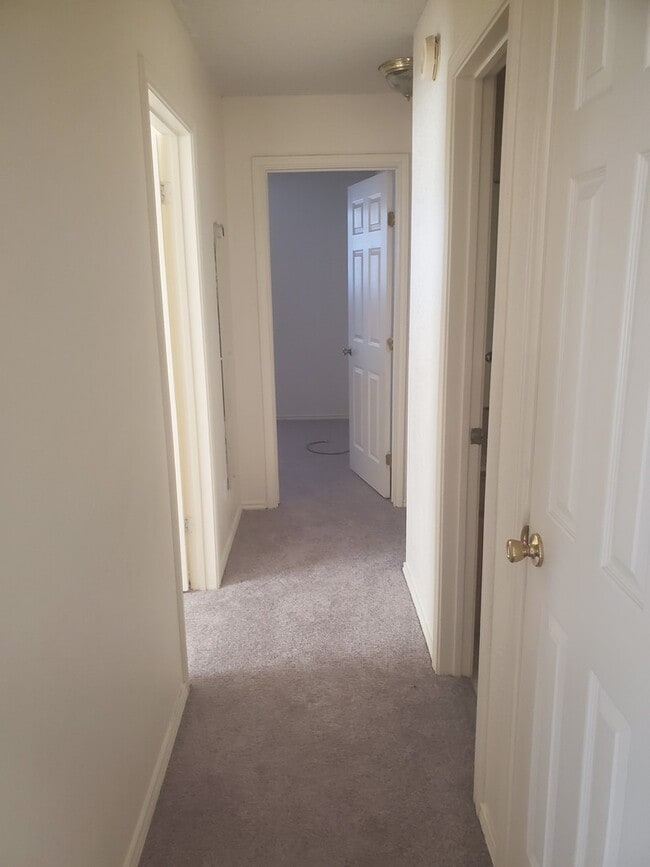 Building Photo - 3504 Rainforest Ln