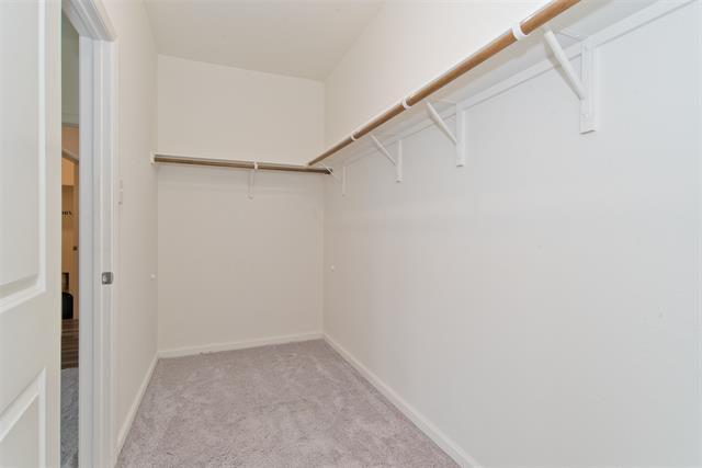 Building Photo - 1637 Shadow Hawk Dr