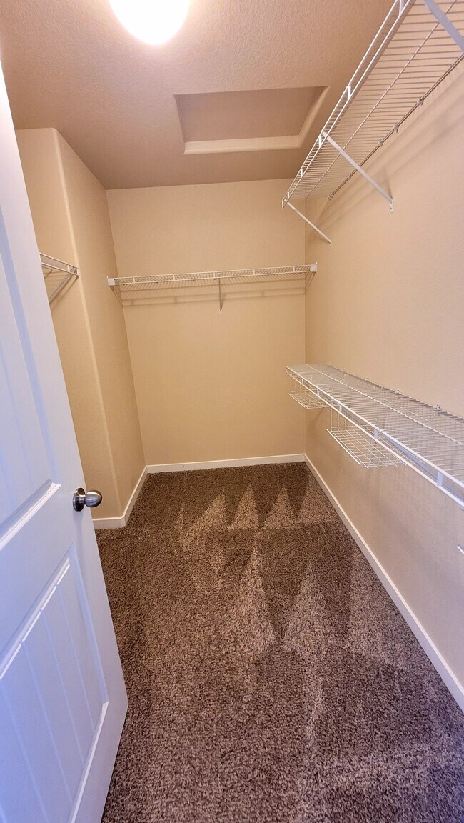 Building Photo - 11309 Scenic Brush Dr