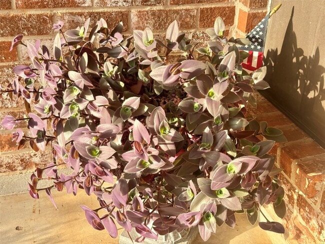 Building Photo - 2934 Field Line Dr