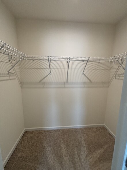 Building Photo - 3411 Antler View Dr