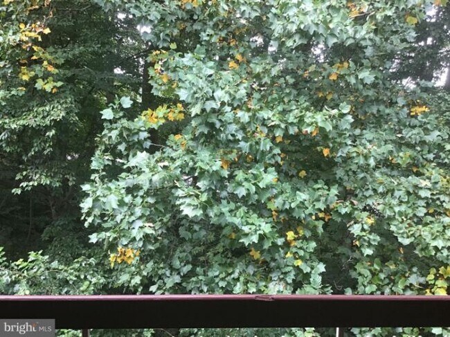 Building Photo - 4381 Americana Dr