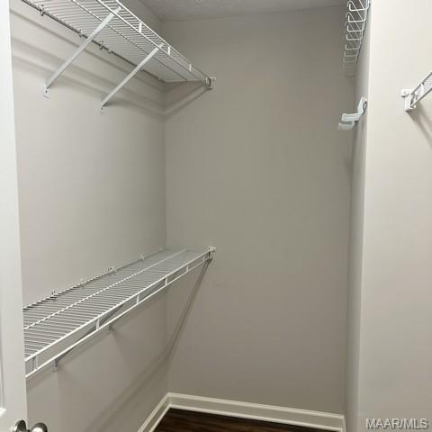 Building Photo - 1124 Stafford Dr