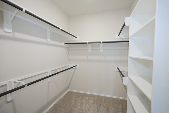 Building Photo - 1342 Wild Mustang Trl