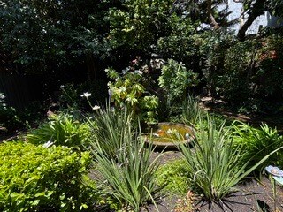 Garden - 2615 Parker St