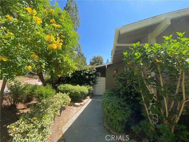 Building Photo - 520 Calle Aragon