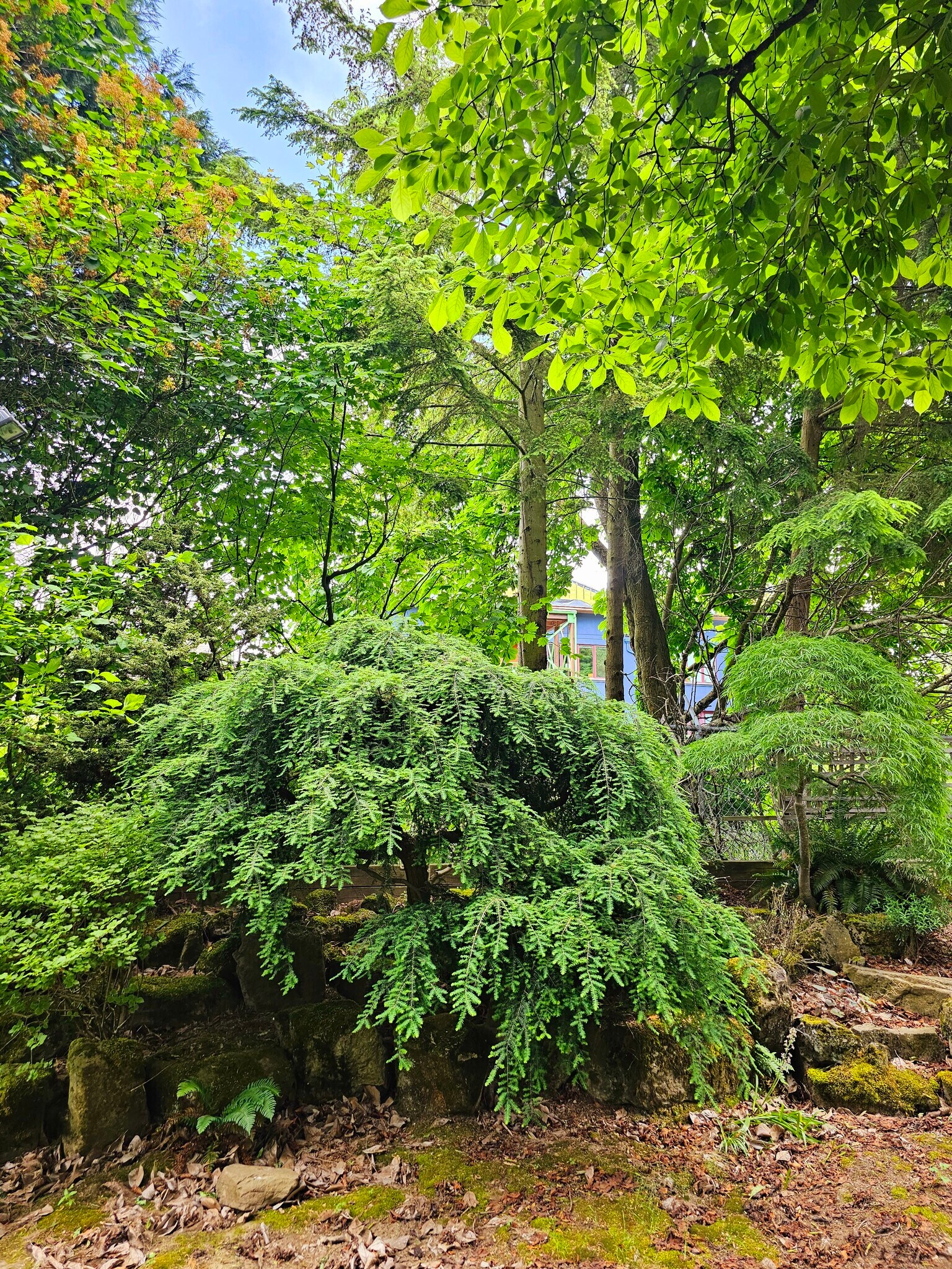 Building Photo - 309 NE Graham St