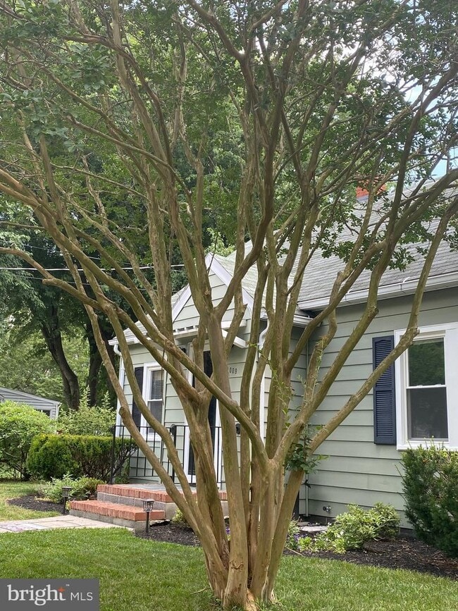 Building Photo - 1009 Tyler Ave