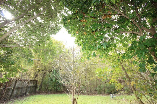 Building Photo - 3111 Long Meadow Dr