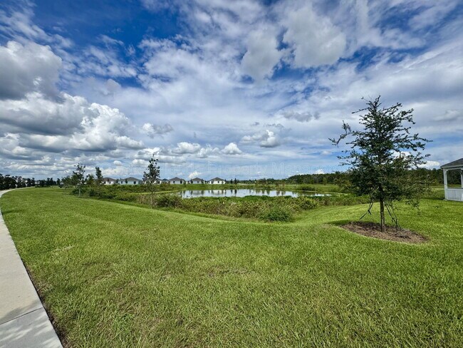 Building Photo - 3489 Chinotto Dr