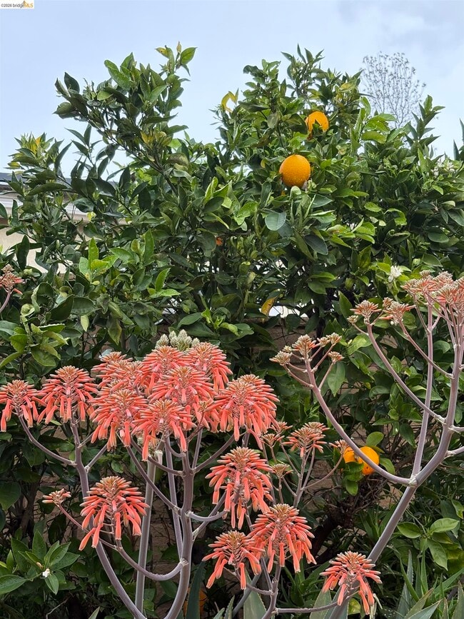 Building Photo - 1101 Hourglass Pl