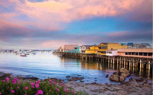 Building Photo - 2769 Moonshell Ln