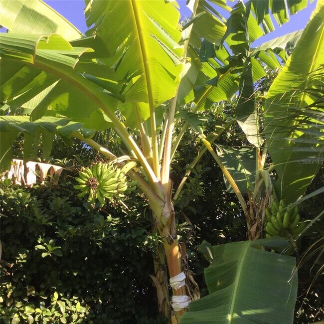 Building Photo - 9331 Southern Breeze Dr