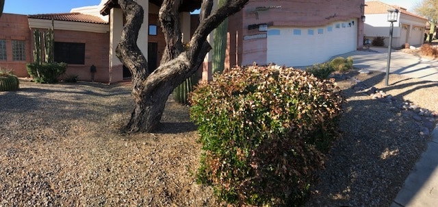 Front yard - 1301 N Mourning Dove Rd