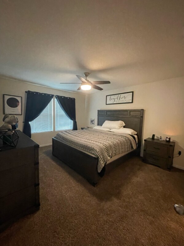 Building Photo - 3702 Shiner Dr