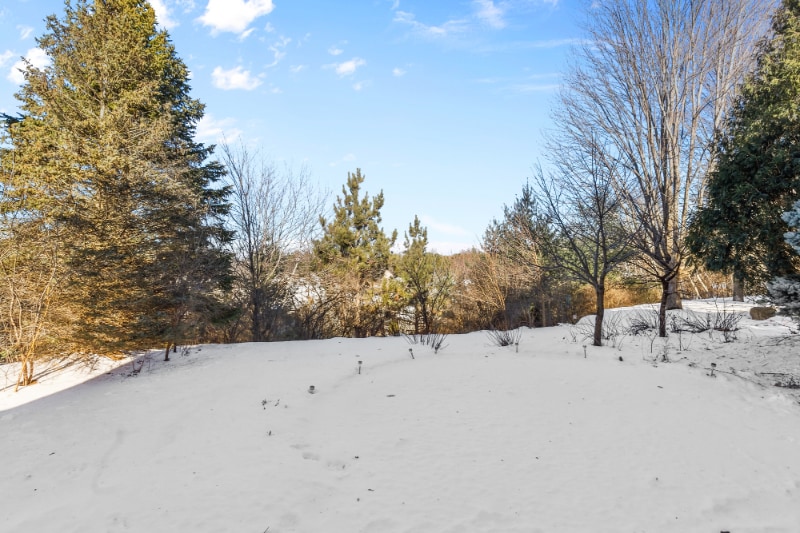 Building Photo - 1517 Covington Ln