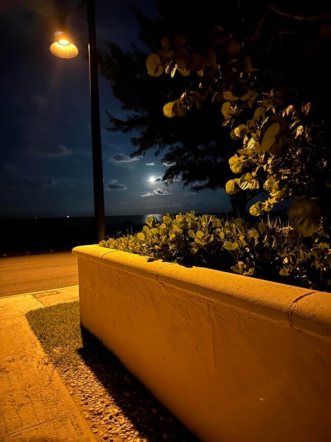 Building Photo - 258 Seminole Ave