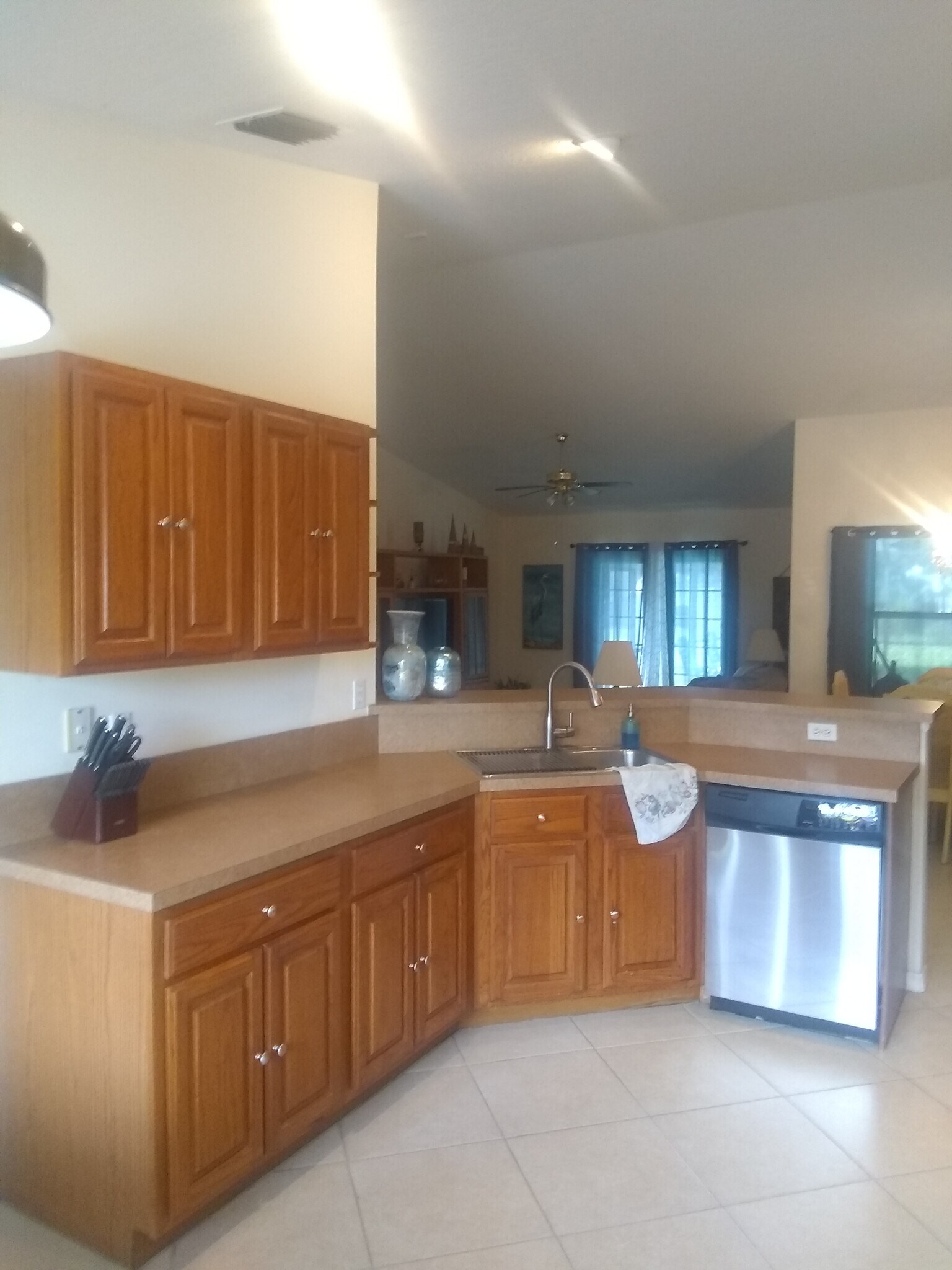 Kitchen sink & dishwasher - 147 Filbert St
