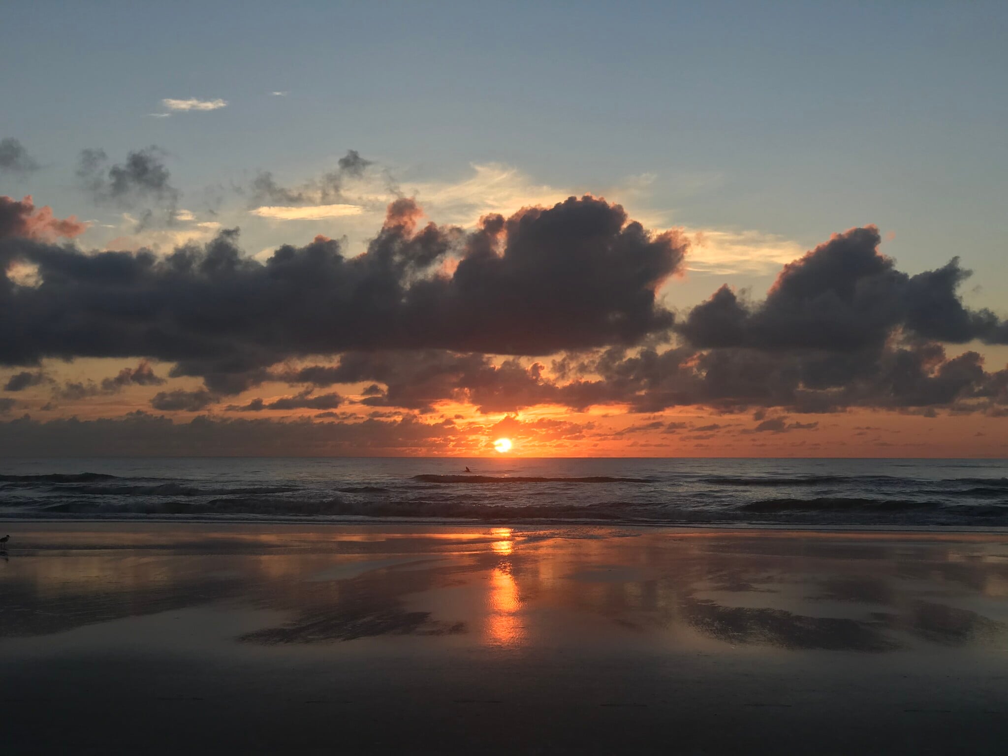 Enjoy the beach - - 1224 S Peninsula Dr